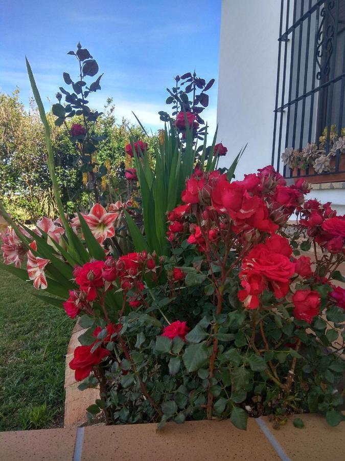 Villa El Mirador De Castilnovo à El Palmar  Extérieur photo